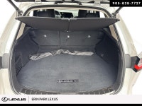 PREMIUM ... Engine: LIGHT/MEDIUM DUTY L/100Km City: 10.9 L/100Km Hwy: 8.5 Safety Equipment Electroni... (image 5)