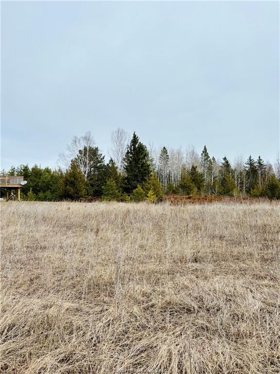 Land for Sale - Lot 27 Hayward Street in Land for Sale in Sudbury