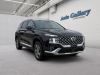 RELIABLE, COMFORTABLE, SAFTEY FIRST Experience comfort, safety, and confidence in this 2023 Hyundai... (image 6)