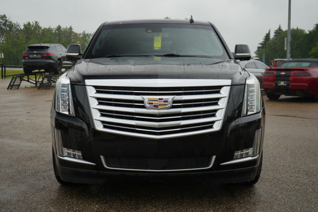 2015 Cadillac Escalade Platinum in Cars & Trucks in Red Deer - Image 2