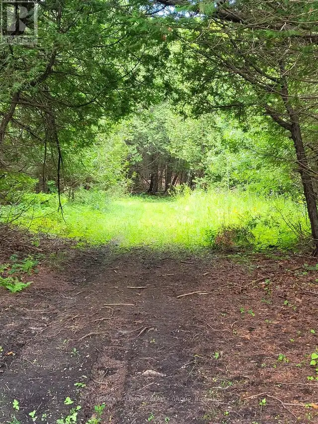 1352 COUNTY 43 ROAD HIGHWAY W Montague, Ontario in Land for Sale in Ottawa - Image 40