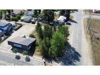 1285 5TH AVENUE Valemount, British Columbia Quesnel Cariboo Area Preview