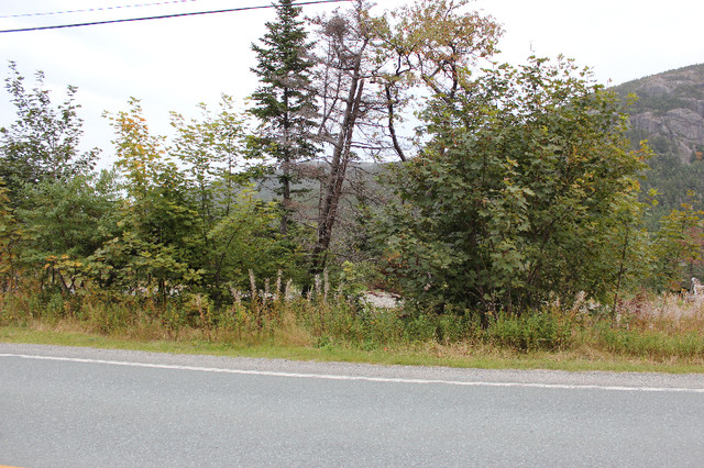 Combined Lots - Beachy Cove Brook & Hill as Your Backdrop! in Land for Sale in St. John's