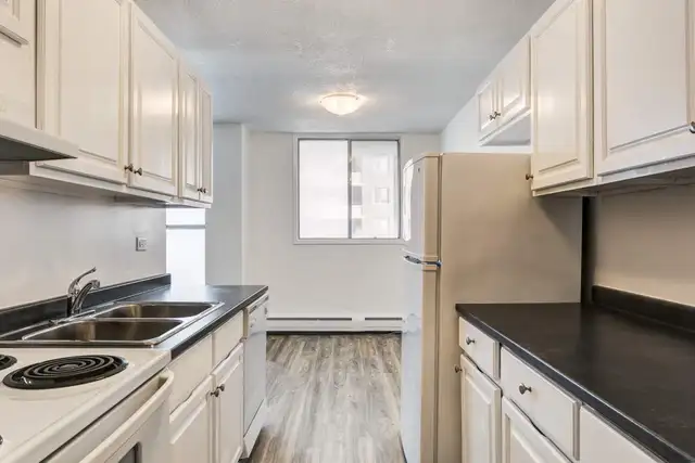 Jasper Ave & 86 Street NW | 2 MFR in Long Term Rentals in Edmonton - Image 4