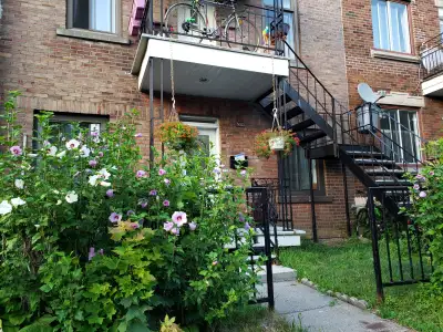 LARGE, SPACIOUS DUPLEX
