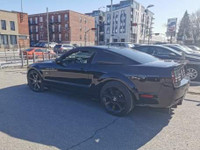 Mustang Saleen clone 2005