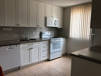 SPACIOUS 1 BEDROOM APARTMENT FOR RENT IN AMHERSTBURG! 30 MINUTES TO WINDSOR! SELECT APARTMENTS FULLY... (image 1)