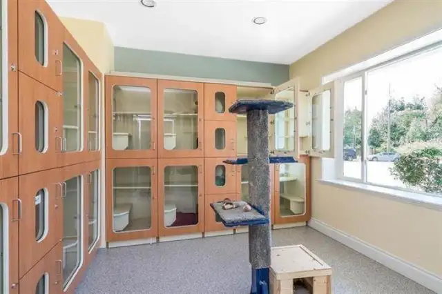 4102 LEFEUVRE ROAD Abbotsford, British Columbia in Houses for Sale in Abbotsford - Image 14