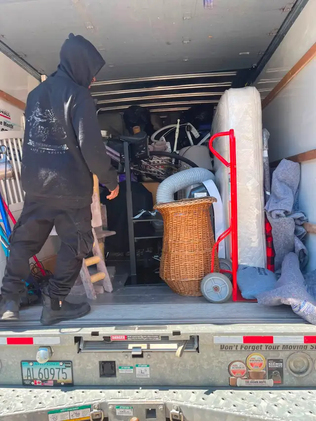 Professional Moving Services482653069253038081