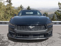 Welcome to Moncton Chrysler Jeep Dodge. Recent Arrival! 2025 Ford Mustang EcoBoost Premium EcoBoost... (image 8)