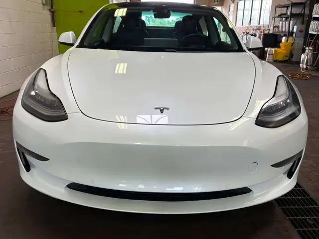 2021 Tesla Model 3 Standard Range Plus559731744535357441