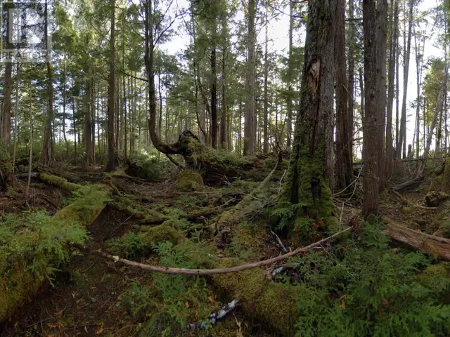 1302 GOBLE POINT Prince Rupert, British Columbia in Land for Sale in Prince Rupert - Image 31