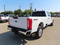 Recent addition, 2024 Ford Super Duty F350 SRW XLT 6.7L power stroke Turbo Diesel 4x4, 8 FT Box, Ple... (image 7)