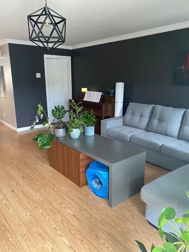 Grand 5-1/2 lumineux avec beaucoup de rangement in Long Term Rentals in Trois-Rivières - Image 7