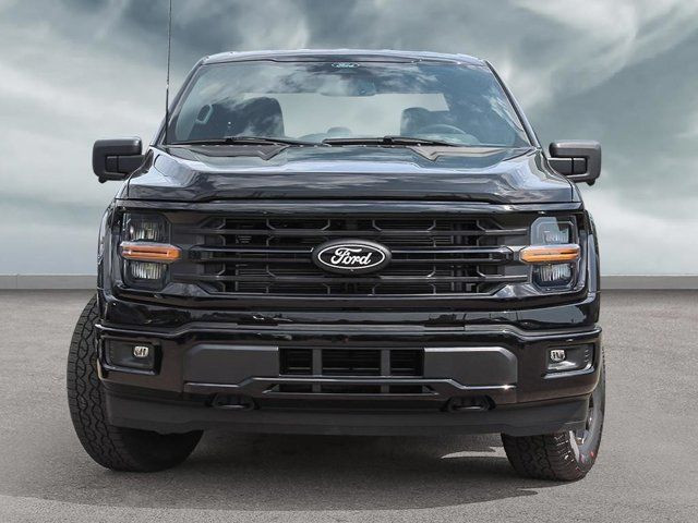 2025 Ford F-150 XLT in Cars & Trucks in Winnipeg - Image 2