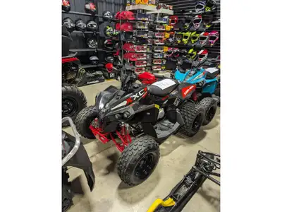 2026 Can-Am Renegade 110 EFI XXC ...