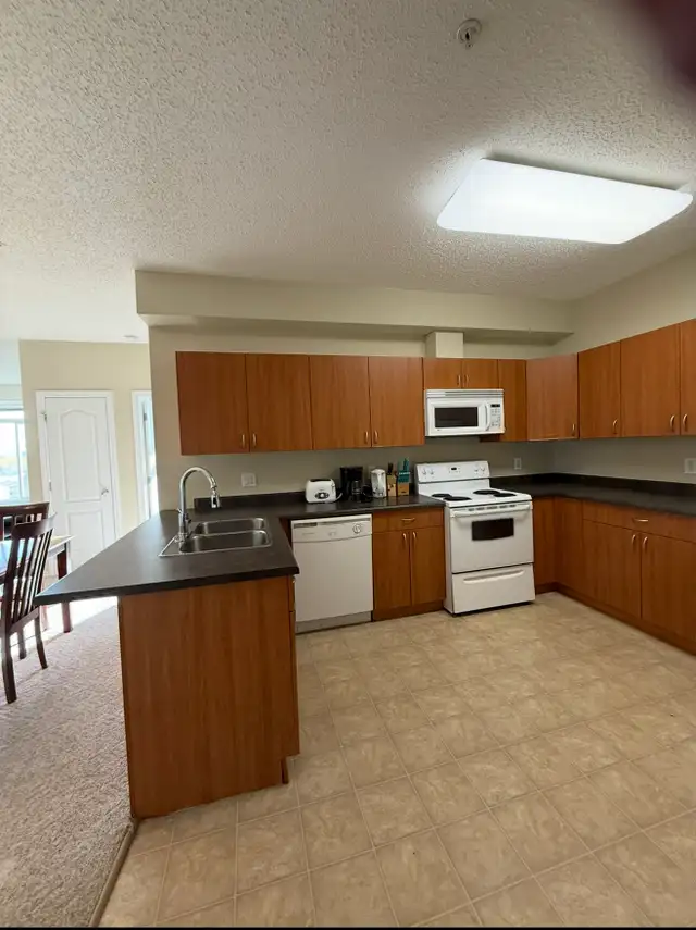 230 Wilson 2 Bed 2 Bath Condos Underground Parking in Long Term Rentals in Fort McMurray - Image 26