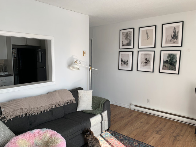 1350 Laurier Street #301: 2 Bedroom Apartment (Rockland) in Long Term Rentals in Ottawa - Image 4