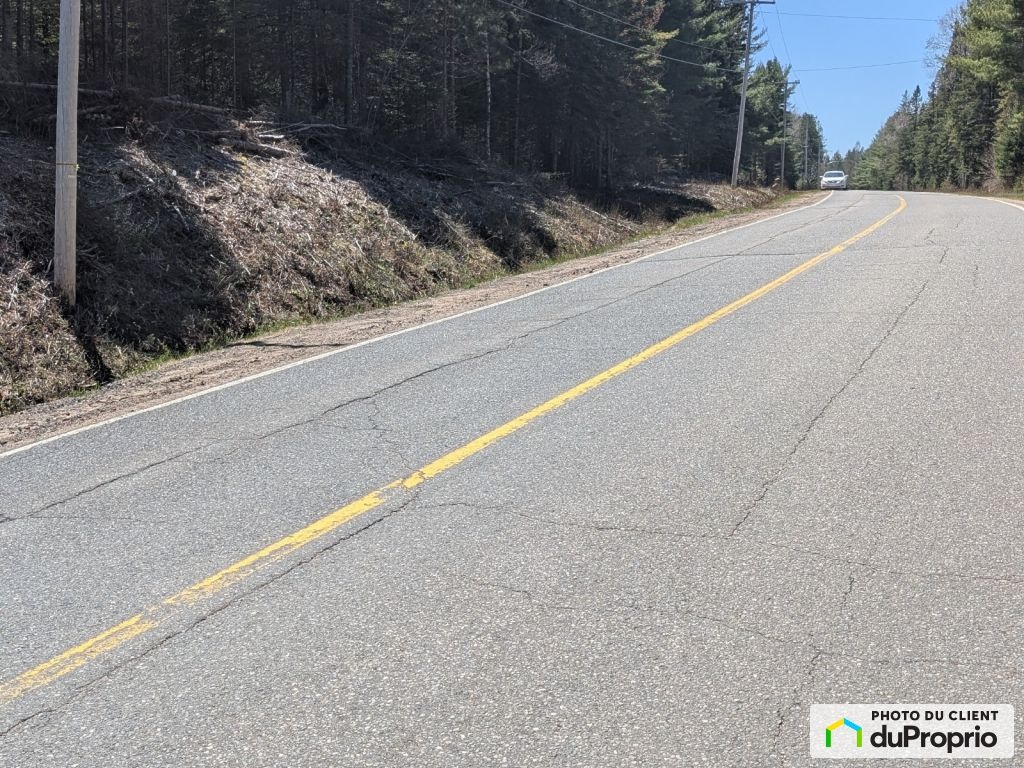 $100,000 - Wood Lot for sale in St-Alexis-Des-Monts — photo 1