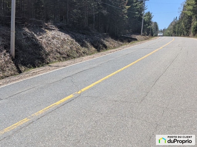 $100,000 - Wood Lot for sale in St-Alexis-Des-Monts — photo 1