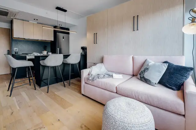 Loft entièrement meublé à louer Saint-Jean-Baptiste novembre 202