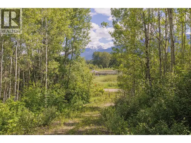DL 5314 HORSESHOE LAKE ROAD McBride, British Columbia in Land for Sale in Quesnel - Image 9