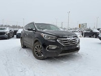 Panoramic Sunroof | Heated Leather Bucket Seats | Heated Steering Wheel | Dual Climate Control | Rea... (image 1)