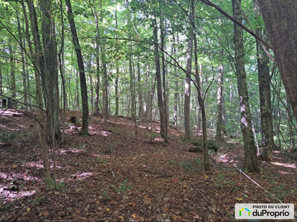 $220,000 - Price taxes included - Residential Lot in Bolton-Est — photo 2
