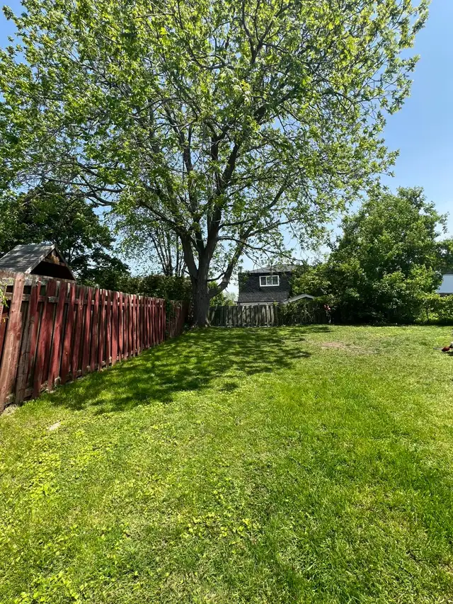 2 Bed, 1 Bath, with Backyard and Storage in Long Term Rentals in Oshawa / Durham Region - Image 15