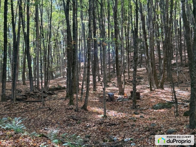 $325,000 - Residential Lot for sale in Bromont — photo 1