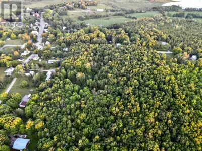 A piece of paradise! Escape from the City - Over 7 Acres of well treed property with drilled well. 4...