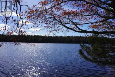 7.7 acres waterfront lot at Cemetery Lake/ Loch Lomond with grown in driveway. Beautiful waterfront...