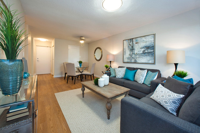 1 Bedroom for Rent in Niagara Falls! Steps to Lundy's Lane! in Long Term Rentals in St. Catharines - Image 2