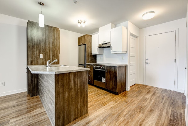 173 Armand-Frappier Boulevard — photo 3