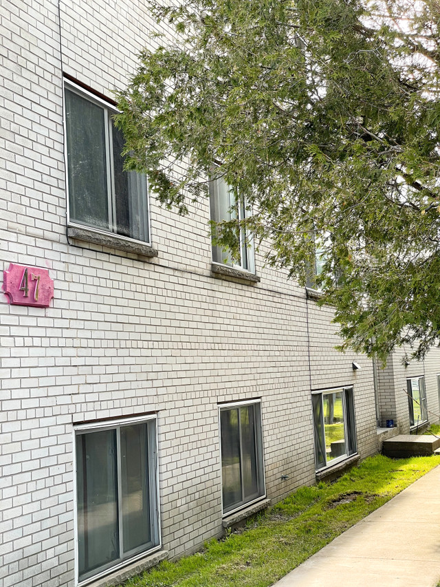 1 Bedroom Apartment SSM - Princess Heights Apts in Long Term Rentals in Sault Ste. Marie - Image 2