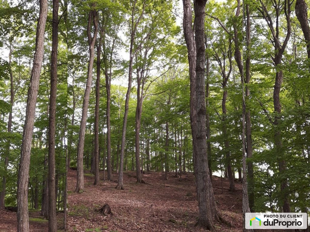 $1,325,000 - Price taxes not included - Arable Land in Bromont — photo 3