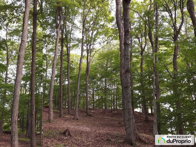 $1,325,000 - Price taxes not included - Arable Land in Bromont — photo 3