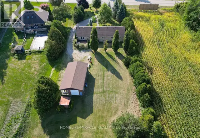 385 MOUNT PLEASANT ROAD Brantford, Ontario in Houses for Sale in Brantford - Image 4