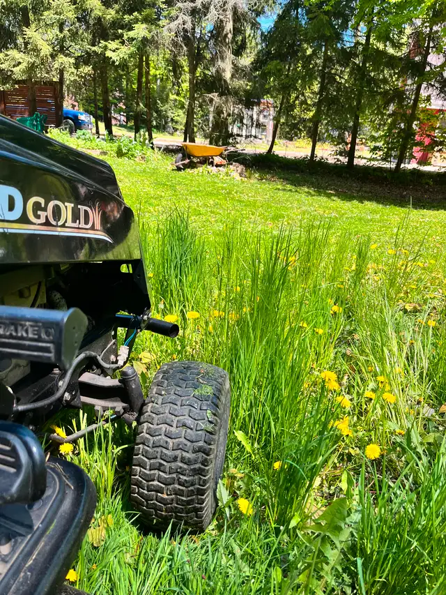 Lawn mowing and Handyman63008305038083124
