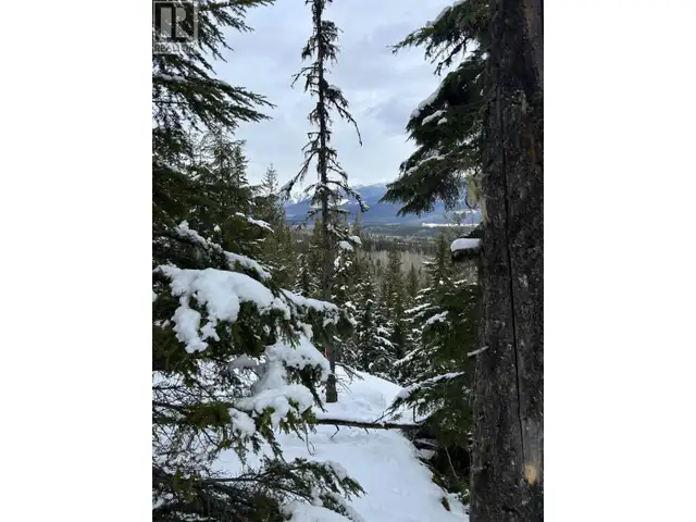 DL 7054 W 16 HIGHWAY McBride, British Columbia in Land for Sale in Quesnel - Image 9