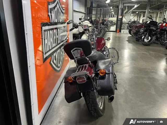 2000 Harley-Davidson FXDWG DYNA WIDE GLIDE in Street, Cruisers & Choppers in Calgary - Image 5