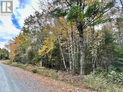 Incredible investment opportunity! Here is your chance to own 36 acres of pristine wooded land in Ch...