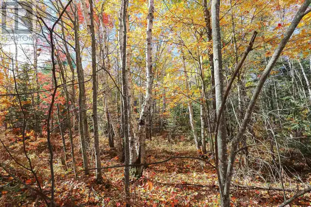 Lot 19 Nokomis Beach RD Sault Ste. Marie, Ontario in Land for Sale in Sault Ste. Marie - Image 8