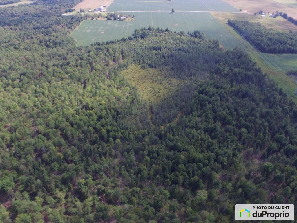 $875,000 - Arable Land for sale in Ascot Corner — photo 3
