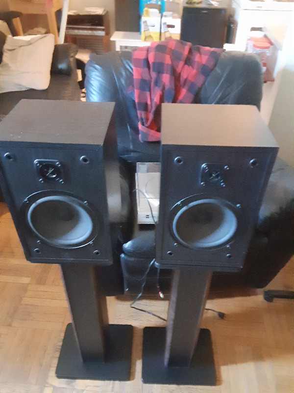 Pair of Amazing Bookshelf Cerwin Vega speakers Wow Spring Break in Speakers in City of Toronto - Image 4