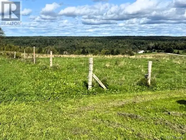 689 Carpenter Bald Hill Road Wickham, New Brunswick in Land for Sale in Saint John - Image 22