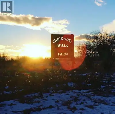 This remarkable 63.31 acres located in Dogpound, 25% treed land with mostly open pasture. 12 acres h...