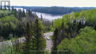 Exceptional 163-Acre Property on Highway 624 - A Nature Lovers Dream! Discover an incredible opportu...