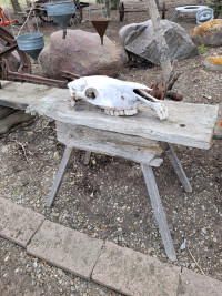 Wood Stand $35.00 or Skull $35.00