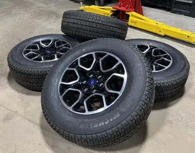 SKU#: ML3Z1007BA-75614 20052026 Ford F-150 OEM Rims with Michelin Primacy LTX All Season Tires PRICI...